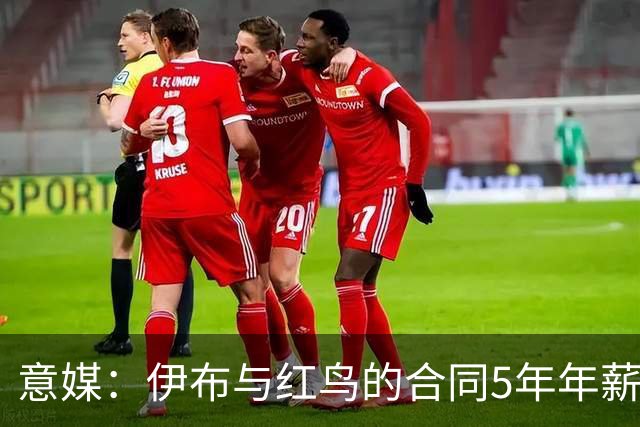 意媒：伊布与红鸟的合同5年年薪100万欧，职责除了竞技还涉及商业